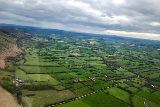 The view from a glider in flight