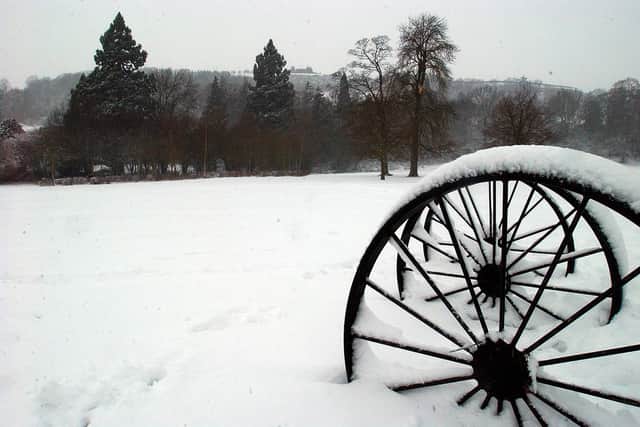 Dolerw Park in the snow
