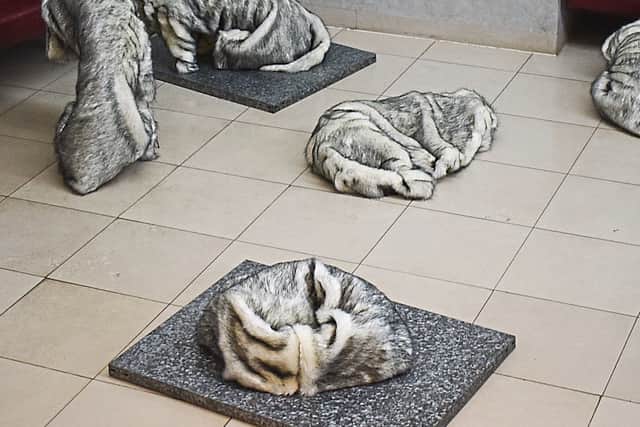Artistic talent – an exhibition at Museum für Moderne Kunst