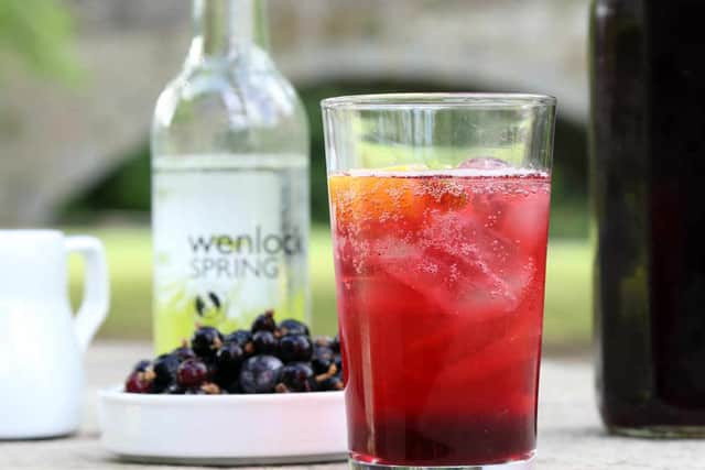 Feeling fruity – homemade blackcurrant cordial