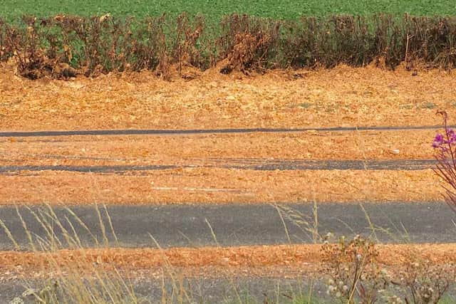 Pasta and bolognese sauce all over the A5 at Shottaton