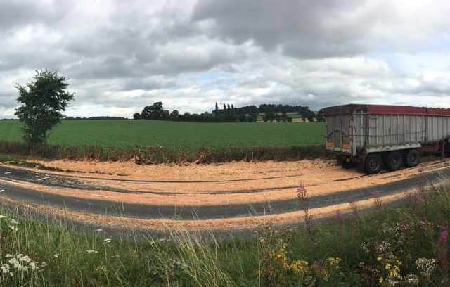 The lorry which shed 20 tonnes of pasta and bolognese sauce on the A5 at Shottaton