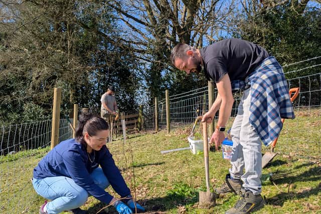 National Grid volunteers planting new hedgerow trees