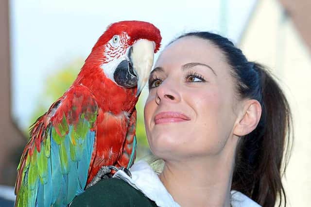 Happy birthday! Emma Small, manager at Becks Pets and Exotics, with Poncho the 90-year-old parrot