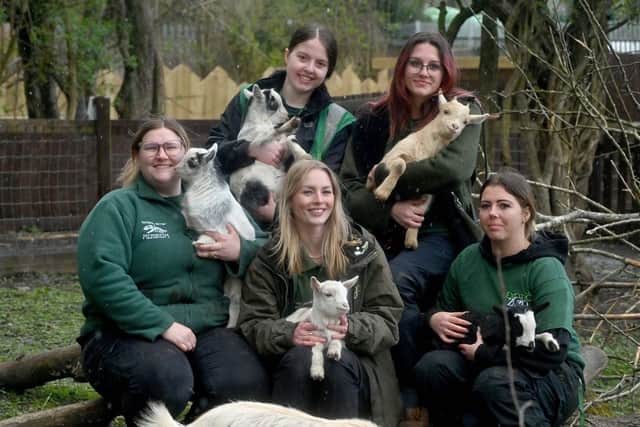 The baby goats pictured with zoo staff Kirsten Massey, Kennedy Battison, Jodie Jinks, Grace Tretton and Eve Shepherd