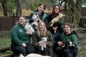 New arrivals at Exotic Zoo Telford - a number of little goats. With zoo staff Kirsten Massey, Kennedy Battison, Jodie Jinks, Grace Tretton and Eve Shepherd