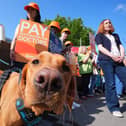Striking doctors in July