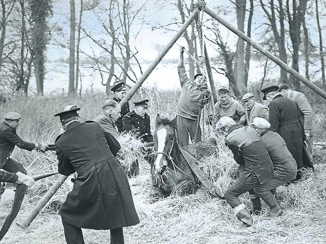 Pic supplied by Frank Boden in Shifnal of a dramatic horse rescue in the 1960's. The rescue took place on Jimmy Thomas' farm at Knowle Bank Farm, near Shifnal.