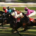 Freezing weather conditions are playing havoc with the racing schedules - and there's a question mark over Wednesday's National Hunt meeting at Ludlow.