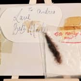 A dreadlock from Bob Marley's hair 