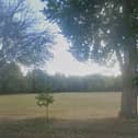 Springfield Recreation Ground