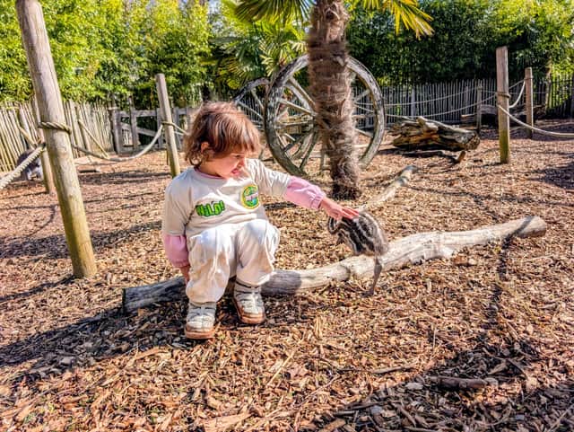Three-year-old Hallie Hollinshead-Parkes