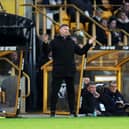 Wolves boss Rob Edwards