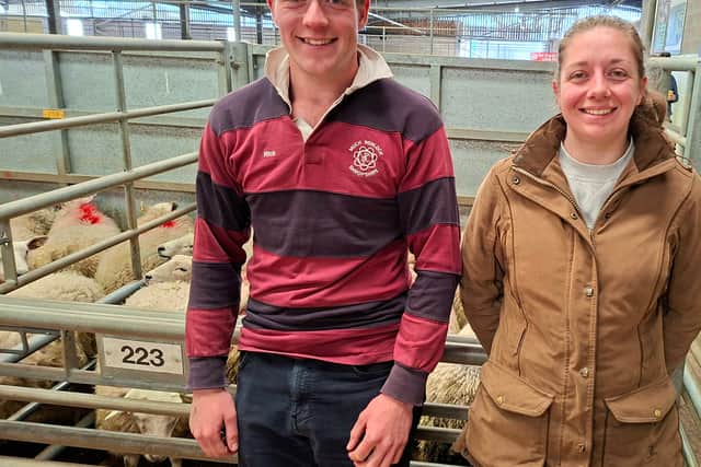 Richard and Hannah Ratcliffe with a pen of hoggets, two of which raised £127 for Lingen Davies Cancer Support.