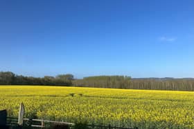 Perryfield site earmarked for development in Baschurch