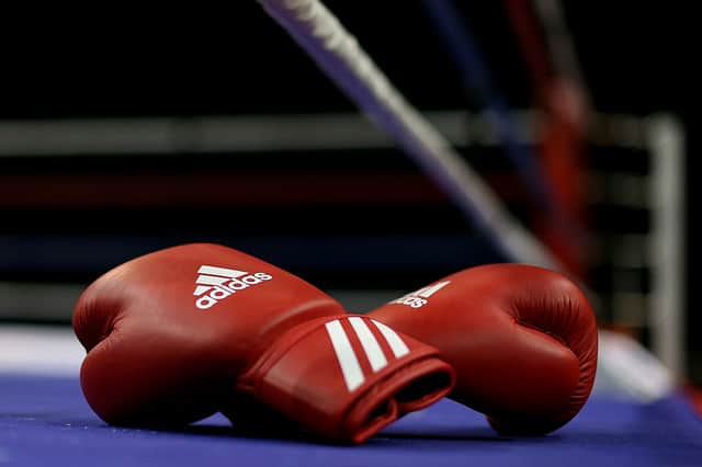 Boxing gloves