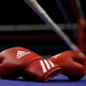 Boxing gloves