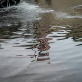 Flooding stock image