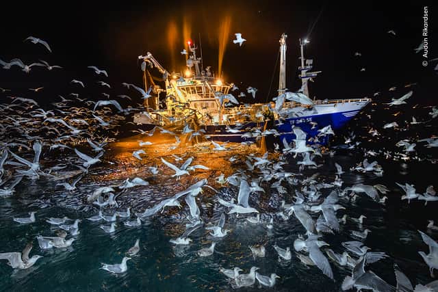 This stunning photograph was captured by Audun Rickardsen.