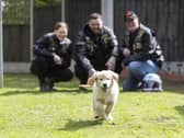 Kian, a 10-week-old golden retriever, meets Harley-Davidson riders Emma Poole, Kevin Taplin and Dave Brace in Kidderminster, as the charity Guide Dogs appeals for more motorbike riders to volunteer as puppy raisers