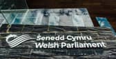 As the fight for the Senedd enters its last week – meet the Montgomeryshire candidates.
