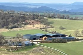 Plans to legitimise the sawmill and Log Cabin making business use at The Golfa near Welshpool have been approved by Powys planners.