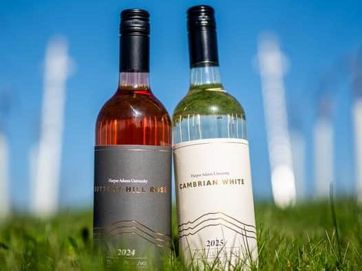 The first wines from Harper Adams University's vineyard