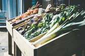 Farm shops