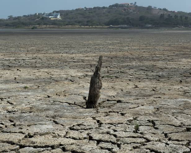 A 'super El Nino' would increase extreme weather - from droughts to flooding - across the globe
