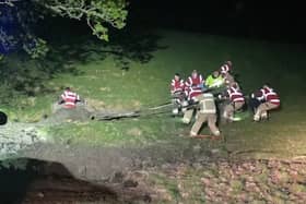 Firefighters working hard to rescue the cow which had become stuck in mud