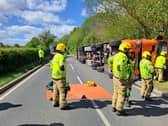 Overturned lorry carrying 450 sheep