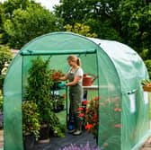 The spacious walk-in greenhouse includes ventilation windows and a weather-resistant PE cover for year-round outdoor use.