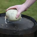 A hand holding a haggis on top of a whisky barrel