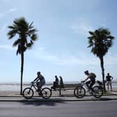 People walk and cycle between two palm trees on a sunny day