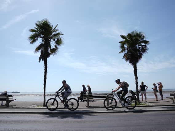 People walk and cycle between two palm trees on a sunny day