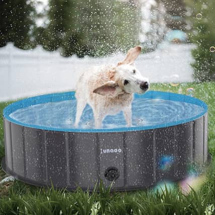 The paddling pool has a variety of uses - including cooling off your pets