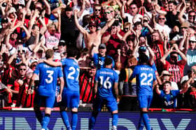 Marcus Tavernier celebrates scoring Bournemouth's equaliser