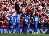Marcus Tavernier celebrates scoring Bournemouth's equaliser