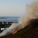 Holyrood Park fire