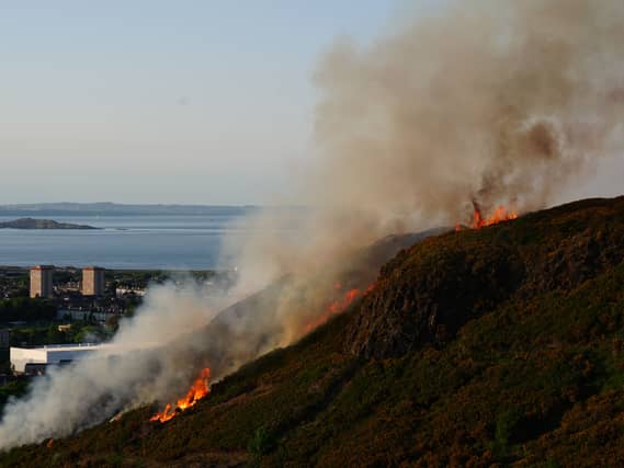 Holyrood Park fire