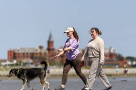 Two people walking a dog