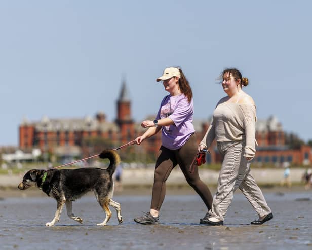 Two people walking a dog