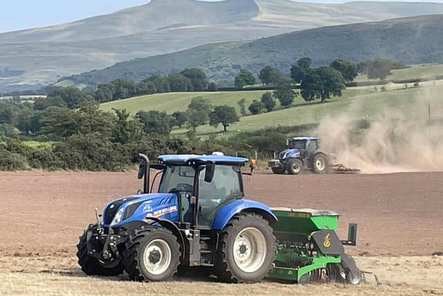 Taking place on Friday, June 12 at Cwmbrynich Farm, Sennybridge, the family home of this year’s Royal Welsh Show President, Mr Gethin Havard.