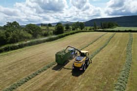 Royal Welsh grassland event goes back to where it began in Brecknock 14 years ago.