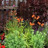 Llanwrtyd Gardening Club will be holding its annual plant sale on Saturday, June 6 