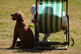 A person sits in a deckchair in the sun in Green Park, London on May 22 2026