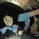 Body-worn camera footage of police with a male