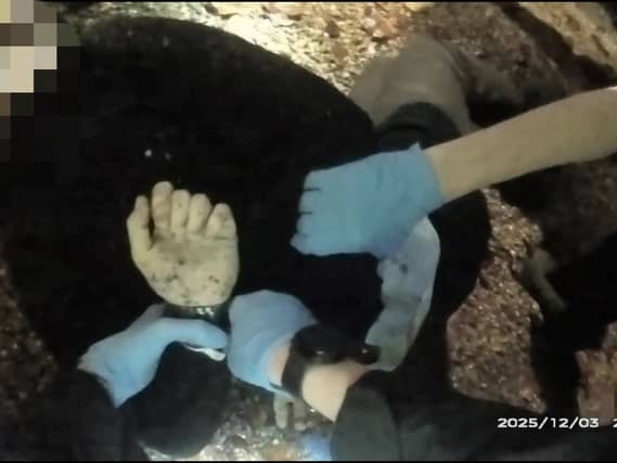 Body-worn camera footage of police with a male