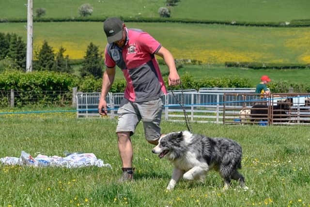 The dog show managed nine classes plus the championship.