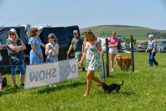 A competitor walks around one of the entries in the dog show at Llanbister.